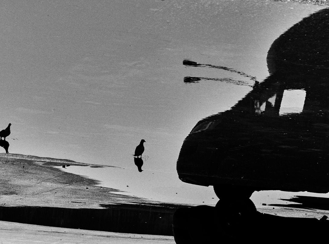 Shona Heath