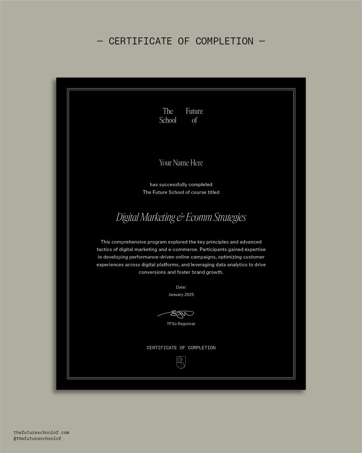 New Approaches to Digital & Ecomm